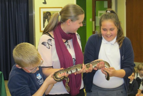 Meet a snake during a zoo keeper experience