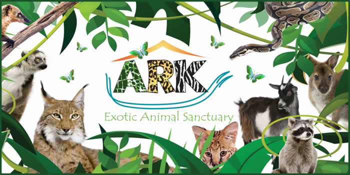 Ark Wildlife Park