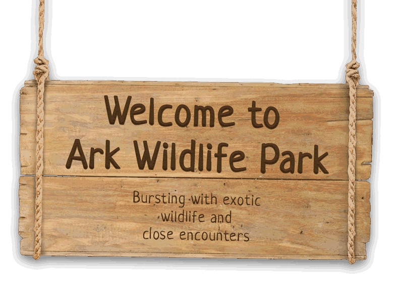 Ark Exotic Animal Sanctuary