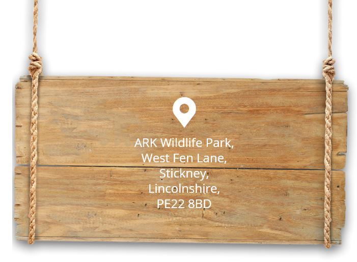 ark wildlife park directions