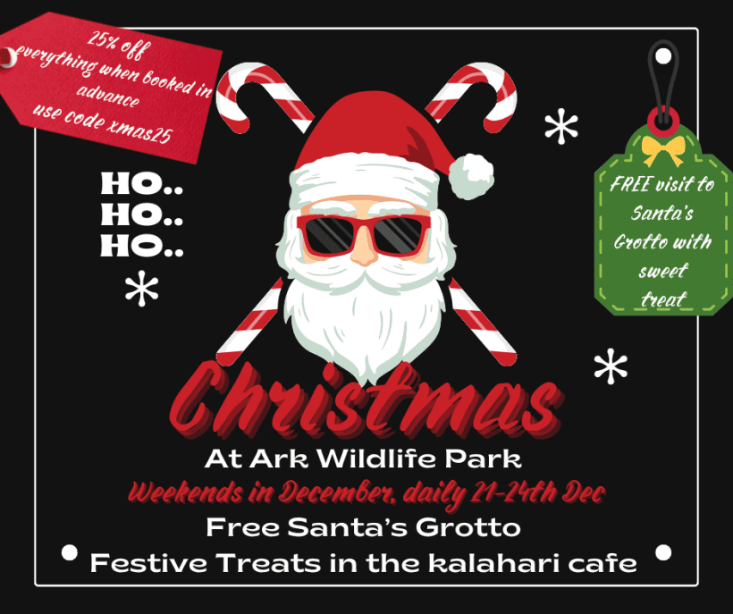 Christmas Offers at ARK Wildlife Park