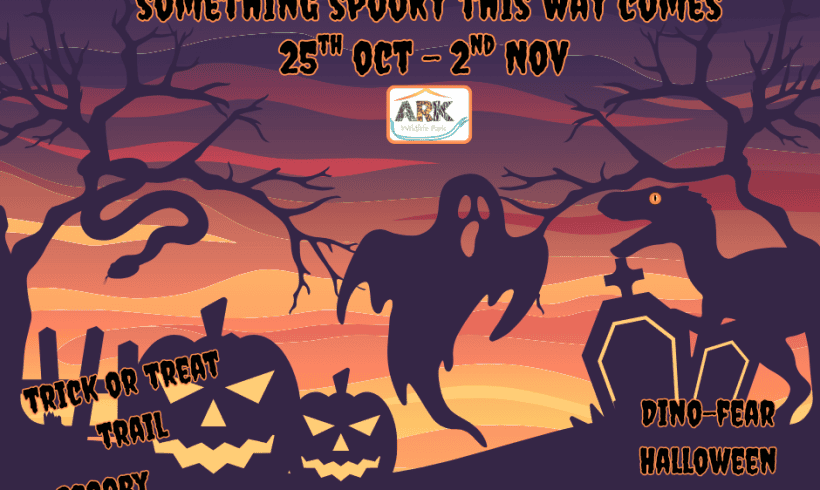 Halloween at the Ark