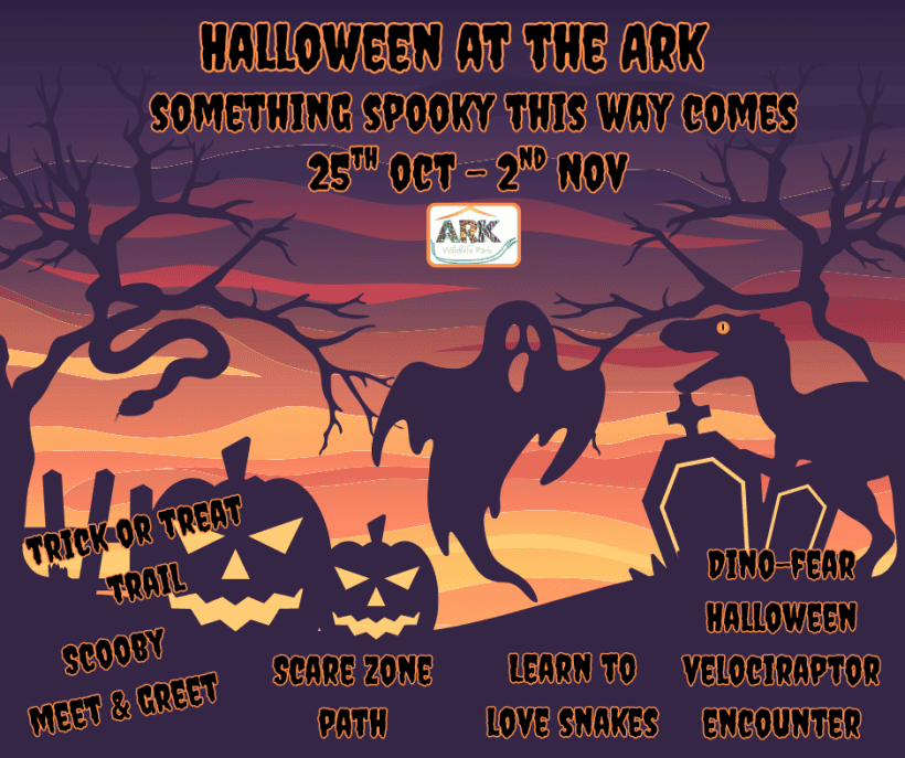 Halloween at the Ark